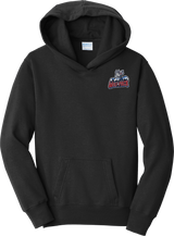 Hartford Jr. Wolfpack Youth Fan Favorite Fleece Pullover Hooded Sweatshirt