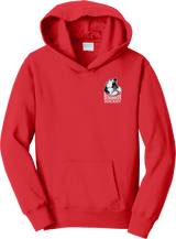 Berdnikov Bears Youth Fan Favorite Fleece Pullover Hooded Sweatshirt